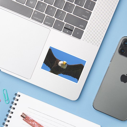 Steenarend vliegt dicht langs sticker (Laptop met iPhone)