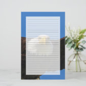 Steenarend vliegt dichtbij briefpapier (Staand voorkant)