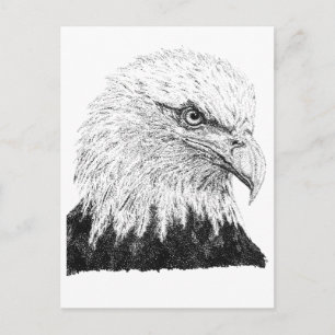 Steenarend VS Patriottische Zwarte Witte Stip Kuns Briefkaart