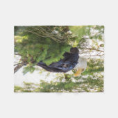 Steenarend zit in Douglasspar Fleece Deken (Voorkant (Horizontaal))