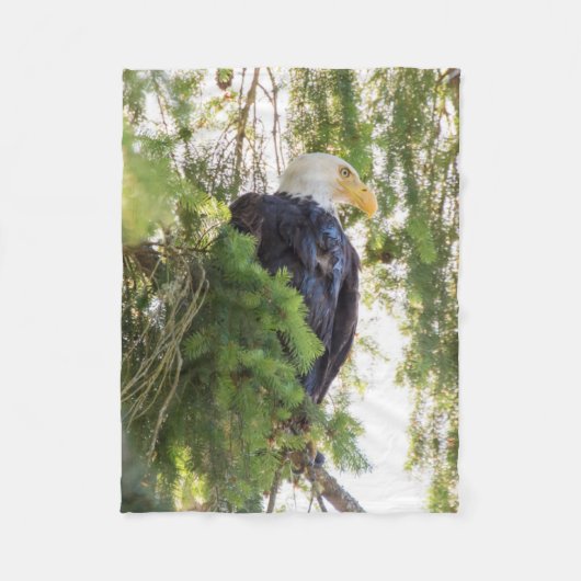 Steenarend zit in Douglasspar Fleece Deken (Voorkant)