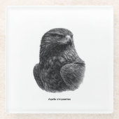 Steenarend Zwart & Wit Glazen Onderzetter (Voorkant)