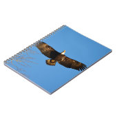 Steenarend zweeft1 notitieboek (Linkerzijde)