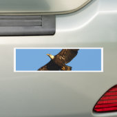 Steenarend zweeft 2 bumpersticker (Op auto)