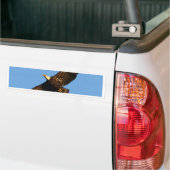 Steenarend zweeft 2 bumpersticker (Op Truck)