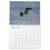 Steenarenden 2026 kalender (Jan 2027)
