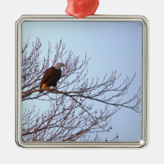 Steenarendornament  metalen ornament (Voorkant)