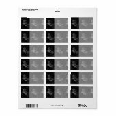 Steenbok Constellatie Hevelius 1690 op Zwart Etiket (Full Sheet)