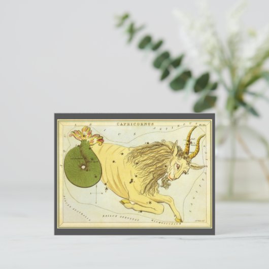 Steenbok  Constellatie, Urania's Mirror Briefkaart (Staand voorkant)