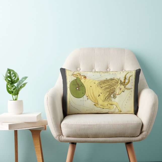 Steenbok  Constellatie, Urania's Mirror Kussen (Stoel)