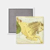 Steenbok Constellatie, Urania's Mirror Magneet (Voorkant / Achterkant)