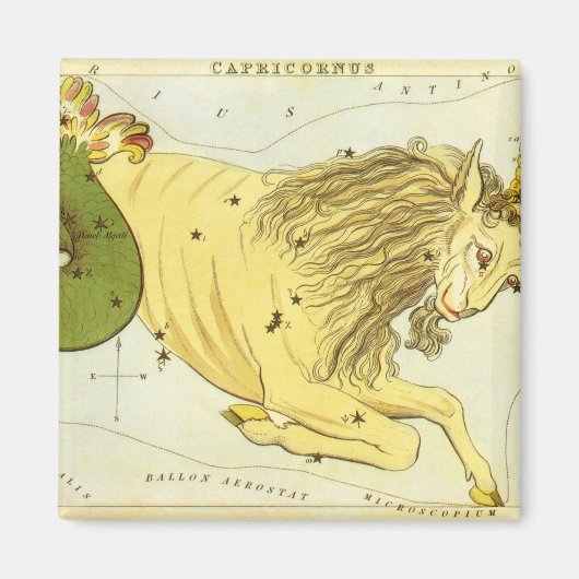 Steenbok Constellatie, Urania's Mirror Magneet (Voorkant)