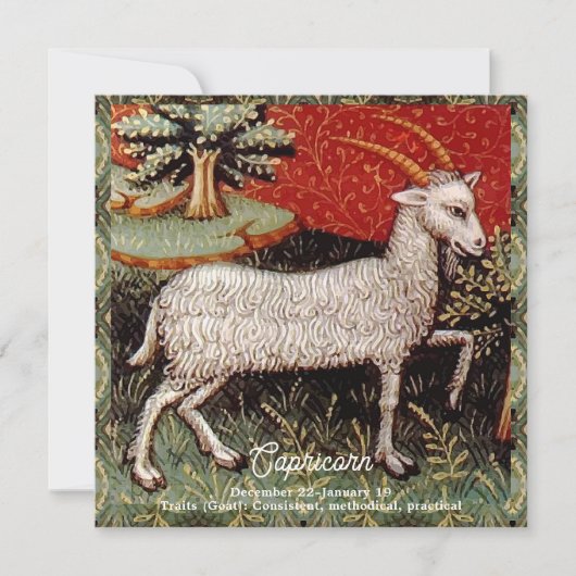 Steenbok de geit sterrenbeeld Verjaardagsfeest Kaart (Voorkant)