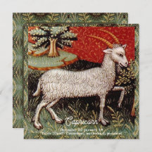 Steenbok de geit sterrenbeeld Verjaardagsfeest