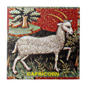 Steenbok de geit sterrenbeeld Verjaardagsfeest Tegeltje (Voorkant)