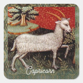 Steenbok de geit sterrenbeeld Verjaardagsfeest Vierkante Sticker (Voorkant)