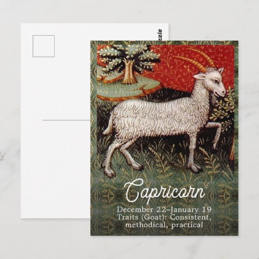 Steenbok de Geit Sterrenbeeld Verjaardagsfeestje Briefkaart (Voorkant / Achterkant)