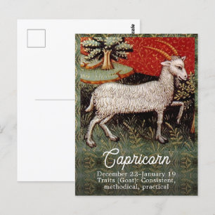 Steenbok de Geit Zodiac Teken Verjaardagsfeestje Briefkaart