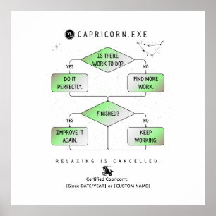 Steenbok Flowchart Funny Zodiac Humor (kleurrijk) Poster