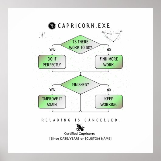 Steenbok Flowchart Funny Zodiac Humor (kleurrijk) Poster (Voorkant)