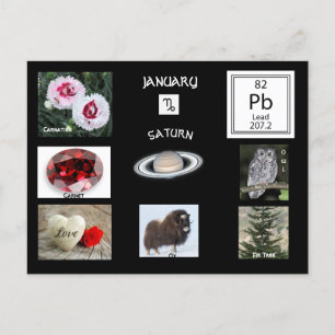Steenbok Januari geboortemaand ansichtkaart Briefkaart