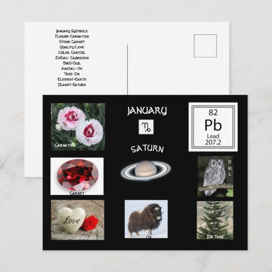 Steenbok Januari geboortemaand ansichtkaart Briefkaart (Voorkant / Achterkant)