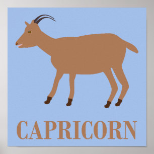 Steenbok Sterrenbeeld Geit Poster