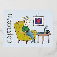 Steenbok sterrenbeeld Zee Geit zodiac star