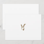 Steenbok Visitekaartjes | Zodiac Netwerken Kaart (Voorkant / Achterkant)