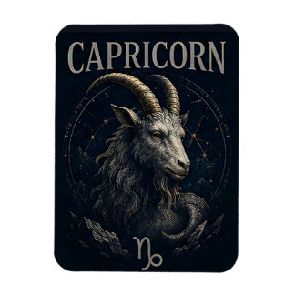 Steenbok Zeegeit Dierenriem Astrologie Symbool Magneet