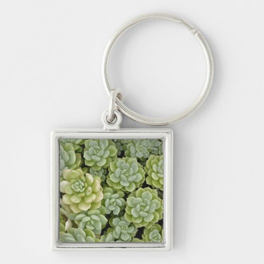 Steenbreek plantpatroon sleutelhanger (Voorkant)