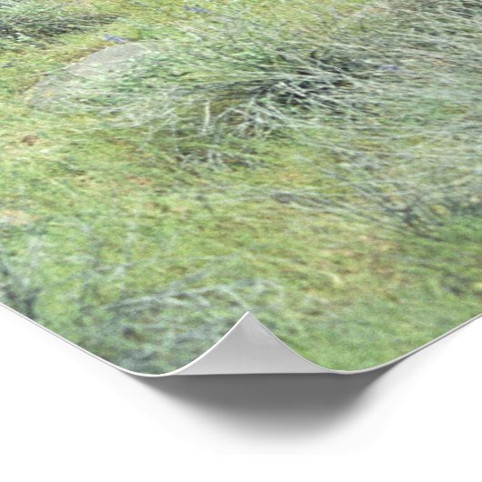 Steengesteente Sonoran Desert Poster Art Prints (Hoek)