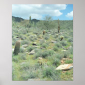 Steengesteente Sonoran Desert Poster Art Prints (Voorkant)