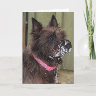 Steenhoop in sneeuw kaart