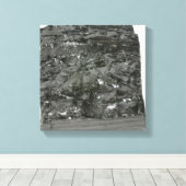 Steenkool Canvas Afdruk (Insitu (Houten vloer))