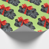 Steenkoolpomp Cadeaupapier (Hoek)