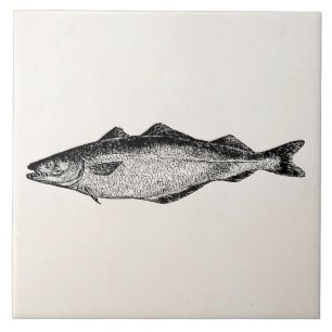 steenkoolvis - Sjabloon blanco visserij Tegeltje