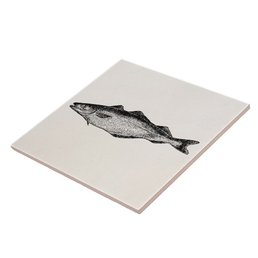  steenkoolvis - Sjabloon blanco visserij Tegeltje (Zijkant)