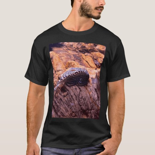Steenloach T-shirt (Voorkant)