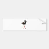 Steenloper Bumpersticker (Voorkant)