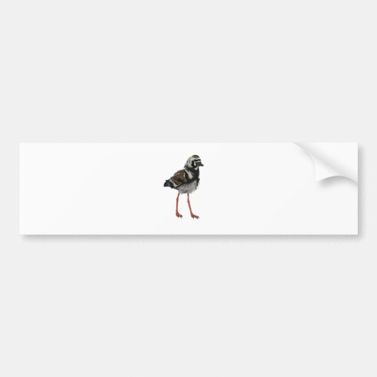 Steenloper Bumpersticker (Voorkant)