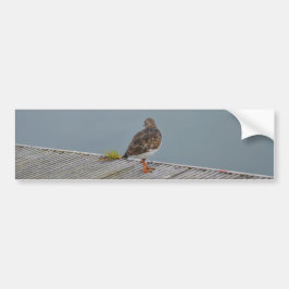 Steenloper Bumpersticker