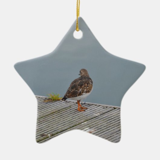 Steenloper Keramisch Ornament (Voorkant)