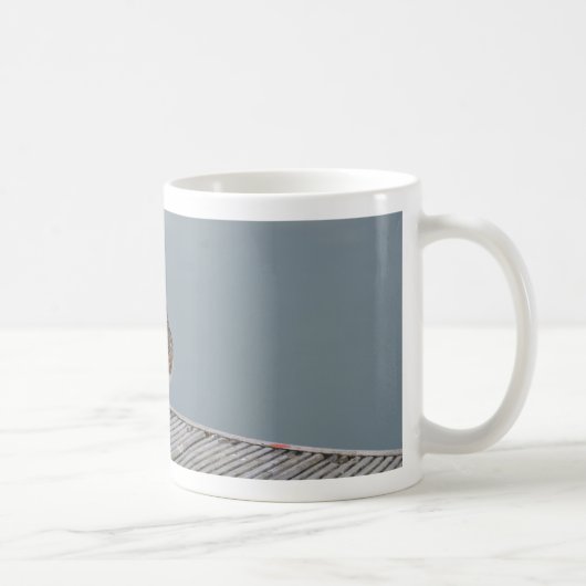 Steenloper Koffiemok (Rechts)