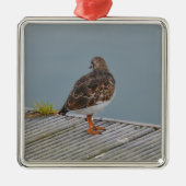 Steenloper Metalen Ornament (Voorkant)
