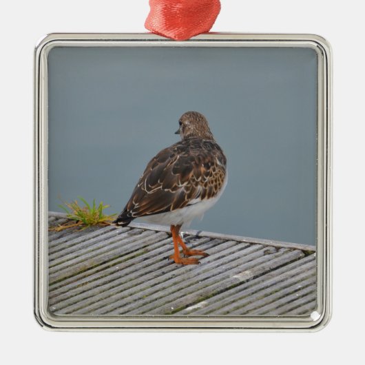 Steenloper Metalen Ornament (Voorkant)