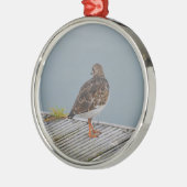 Steenloper Metalen Ornament (Links)