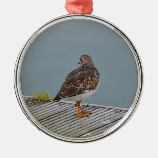Steenloper Metalen Ornament (Voorkant)