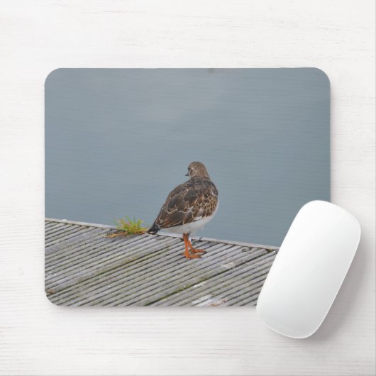 Steenloper Muismat (Met muis)