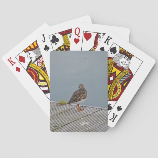 Steenloper Pokerkaarten (Achterkant)